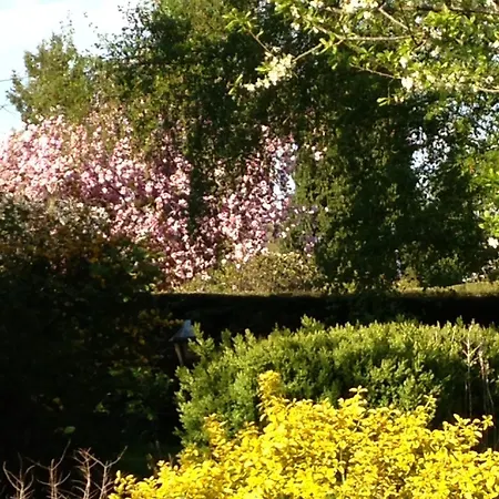 Bed & Breakfast Confort Du Tilleul