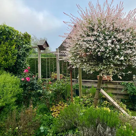 Confort Du Tilleul 3*