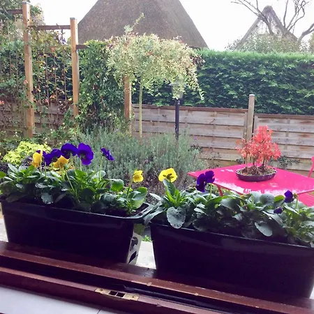 Confort Du Tilleul 3*