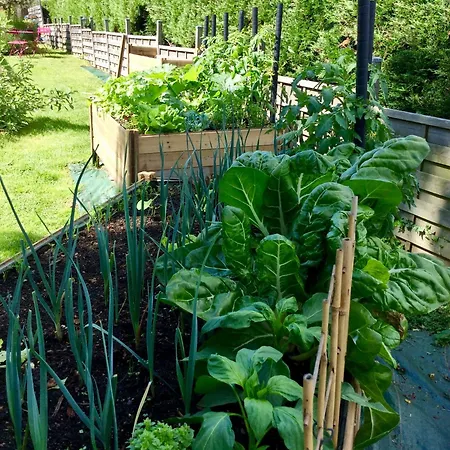 Bed & Breakfast Confort Du Tilleul Bosc-Benard-Commin