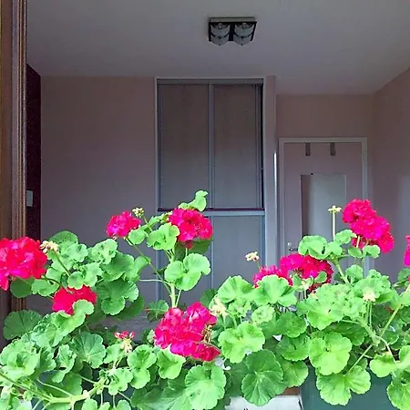 Confort Du Tilleul Bed & Breakfast