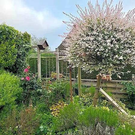 Bed & Breakfast Confort Du Tilleul